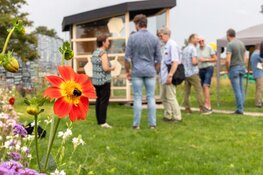 Officiële opening bijenhuis Museum BroekerVeiling
