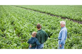 Nieuw evenement GroenDoen richt zich op een toekomstbestendig Dijk en Waard