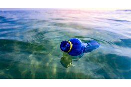 Nieuw evenement GroenDoen richt zich op een toekomstbestendig Dijk en Waard