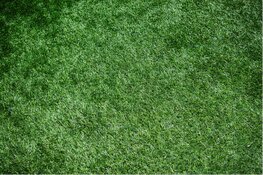 Manieren om je tuin makkelijker te onderhouden!