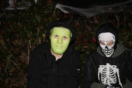 Ahornlaan wordt AHorrorlaan: Halloween groots gevierd in Heerhugowaardse Bomenwijk