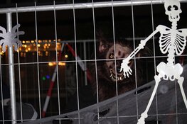 Ahornlaan wordt AHorrorlaan: Halloween groots gevierd in Heerhugowaardse Bomenwijk