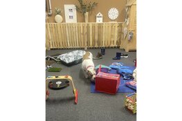 Connectie Gericht Trainen wil het beste uit je hond en jezelf halen