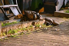 Beddengoed in brand in woning Heerhugowaard