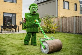 Een strak gazon zonder zorgen: Graszodenkopen.nl helpt particulieren én hoveniers