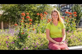 Echt luisteren werkt: gesprekken in de Schilderswijk