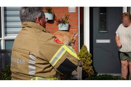 Kater Kees door brandweer gered in Heerhugowaard
