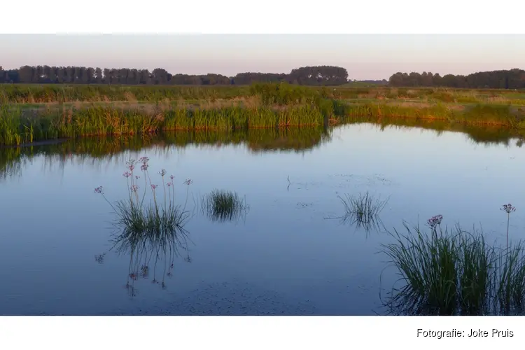Een nieuwe blik op het Geestmerambacht