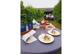 Zomerdrukte bij Wijndomein de Koen