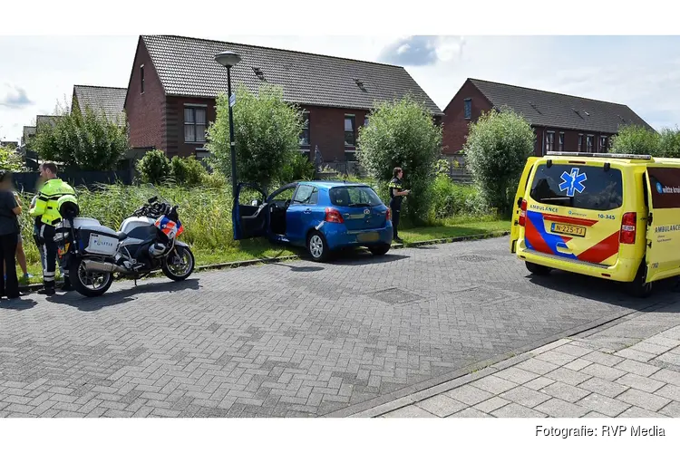 Automobilist aangehouden na botsing tegen kleine boom