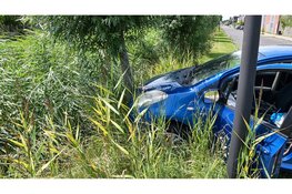 Automobilist aangehouden na botsing tegen kleine boom