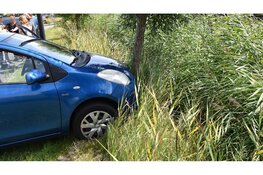 Automobilist aangehouden na botsing tegen kleine boom