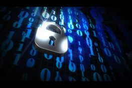 Digitale veiligheid en trends binnen het Nederlandse online landschap