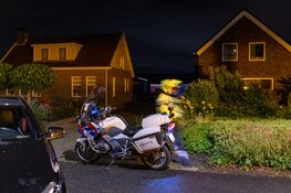 Tientallen koeien ontsnapt aan Middenweg, auto raakt beschadigd