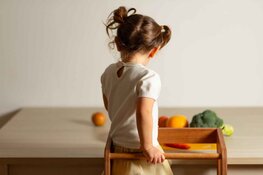 Jindl verovert Nederland en België met populaire leertoren voor kinderen