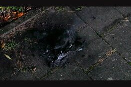 Bewoners ademen rook in bij schoorsteenbrand in Heerhugowaard