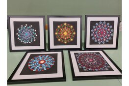 Dotpaintcursus van start in Heerhugowaard