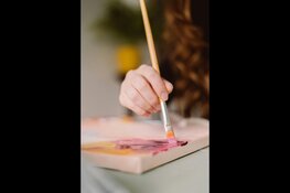 Wat lokale evenementen en online platforms van elkaar kunnen leren in Heerhugowaard