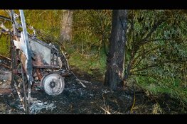 Canta rijdt tegen boom en brandt volledig uit