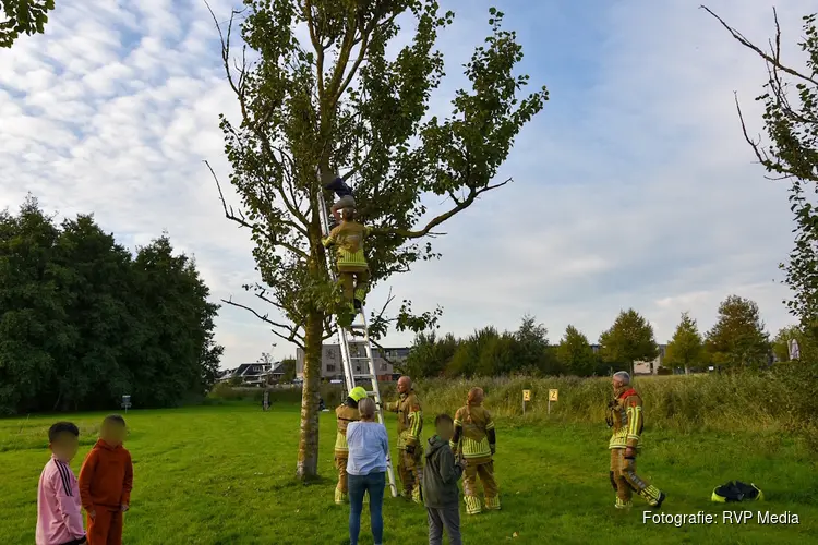 Jongen klimt in boom om kat te redden en moet zelf worden gered