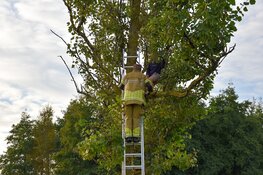 Jongen klimt in boom om kat te redden en moet zelf worden gered