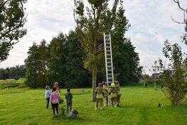 Jongen klimt in boom om kat te redden en moet zelf worden gered