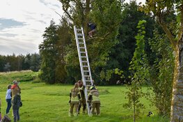 Jongen klimt in boom om kat te redden en moet zelf worden gered