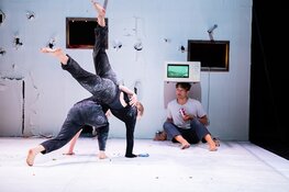 Cool kunst en cultuur zet duurzaamheid in de spotlights