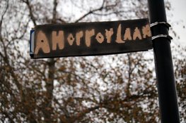 Ahornlaan verandert vrijdag weer in Ahorrorlaan