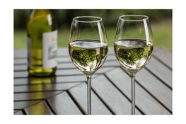 De kunst van wijn bewaren: Zo haalt u het beste uit elke fles