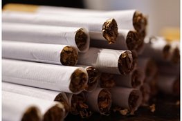 Negen aanhoudingen na ontdekking illegale sigarettenfabriek in Heerhugowaard