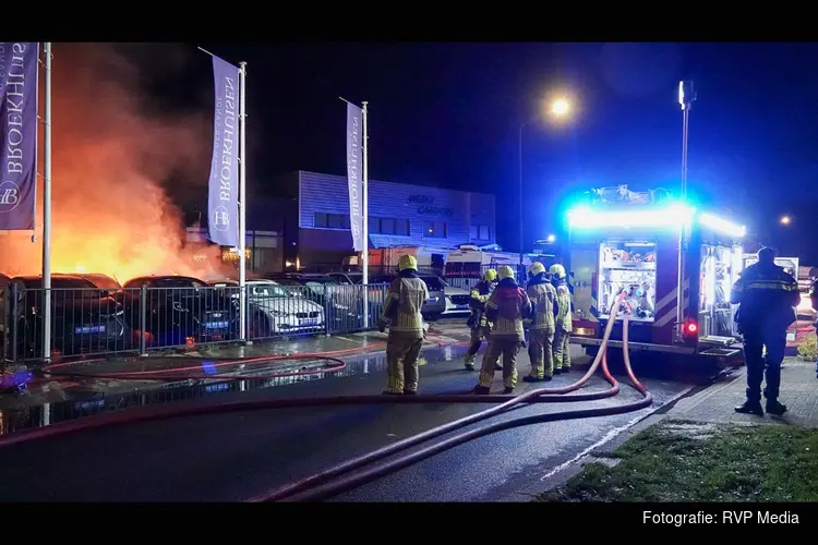 Metershoge vlammen op industrieterrein: meerdere auto's in brand, mogelijk brandstichting
