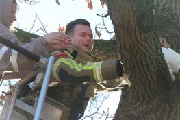 Brandweer wordt ingezet tijdens kerst voor kat in de boom in Heerhugowaard