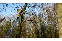 Kraai gewond na verstrikking in visdraad Heerhugowaard. Brandweer schiet te hulp