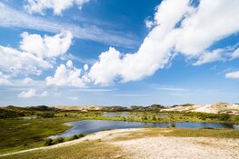 Historische wandelroute rond Alkmaar genomineerd voor Wandelroute van het Jaar 2026