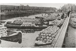 Lezing over historisch transport in Langedijk bij Museum BroekerVeiling