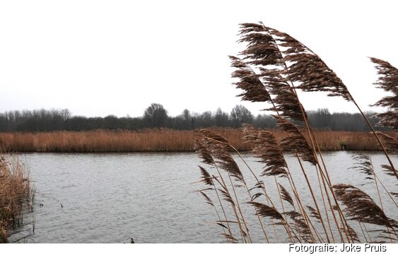 Natuurwandeling op zondag 15 februari door het Geestmerambacht