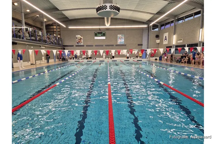 Leerlingen Boomladder winnen ‘spannendste schoolzwemkampioenschappen ooit’