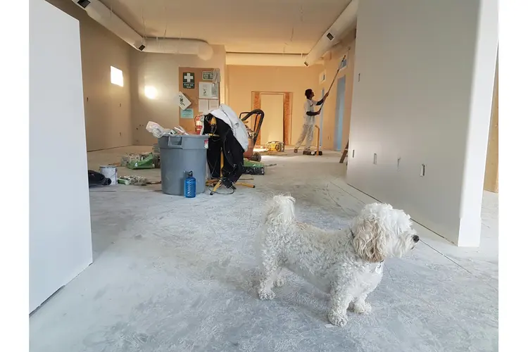 Je huis energiezuiniger maken in Alkmaar met bodemisolatie