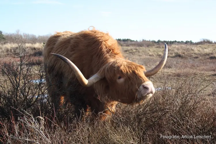 Geniet van de lente in eigen regio: De mooiste dagjes uit op een rij