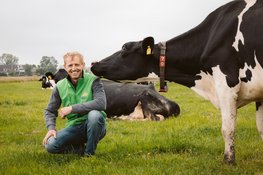 Campina Open Boerderijdagen 2026: boerderijen in Noord-Holland open voor publiek