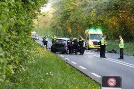 Beknelling na frontale botsing op N245 Oudkarspel, hondje ook gewond bij ongeval