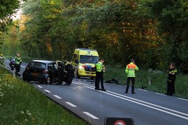 Beknelling na frontale botsing op N245 Oudkarspel, hondje ook gewond bij ongeval