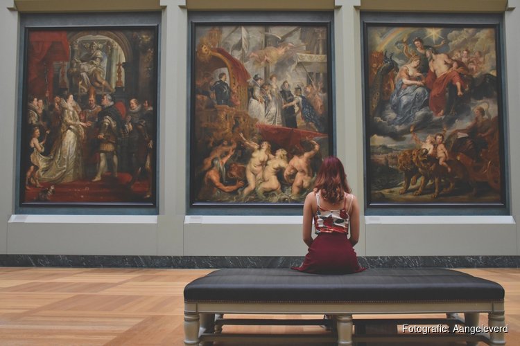 Lezing over kunstgeschiedenis van West-Friesland in bibliotheek Heerhugowaard