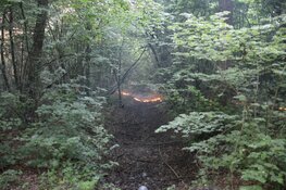 Flinke natuurbrand in Waarderhout snel onder controle