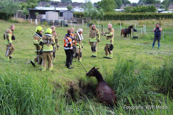 Paard komt op eigen kracht uit sloot nadat brandweer reddingsactie op touw zet