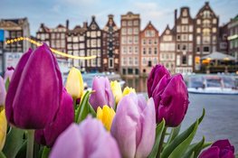 Dijk en Waard zit klem in regionaal wachtsysteem: huurders kiezen vaker eigen route
