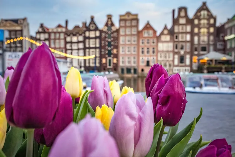 Dijk en Waard zit klem in regionaal wachtsysteem: huurders kiezen vaker eigen route
