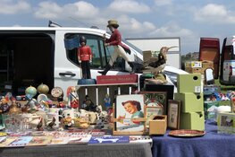 Gezellig struinen op de Kofferbakmarkt in Heerhugowaard