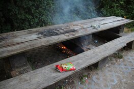 Brandweer rukt uit voor buitenbrand in Waarderhout